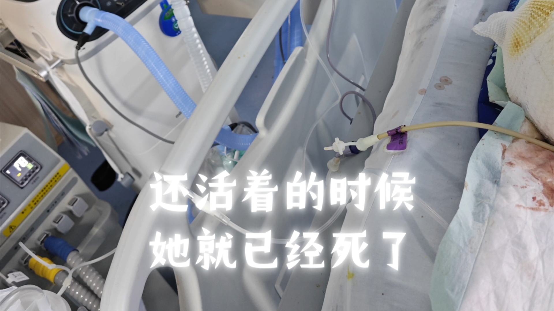 在死亡记录的时间之前,她就已经死了哔哩哔哩bilibili