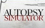 [图]Autopsy Simulator Demo