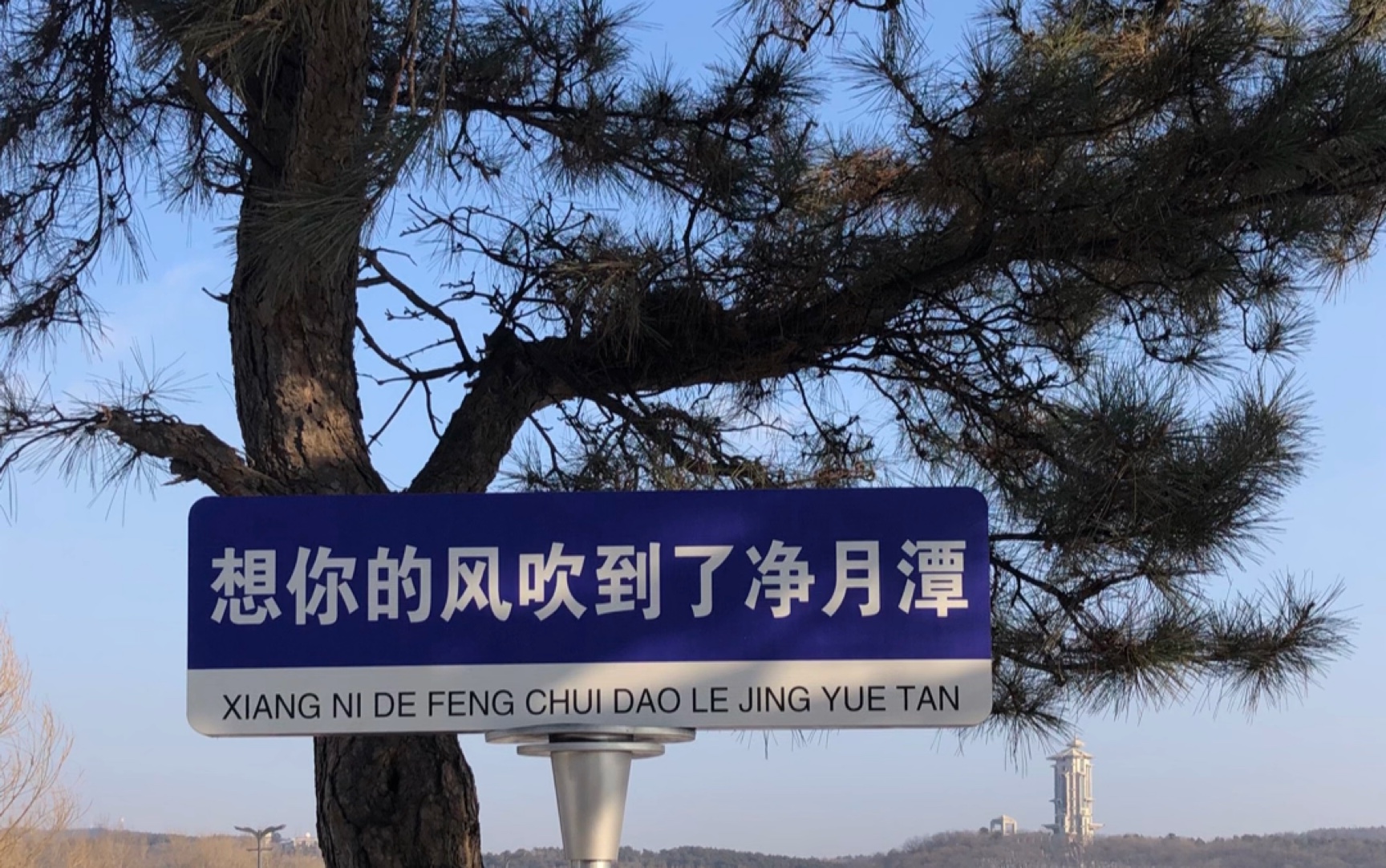 东北旅游长春篇之净月潭