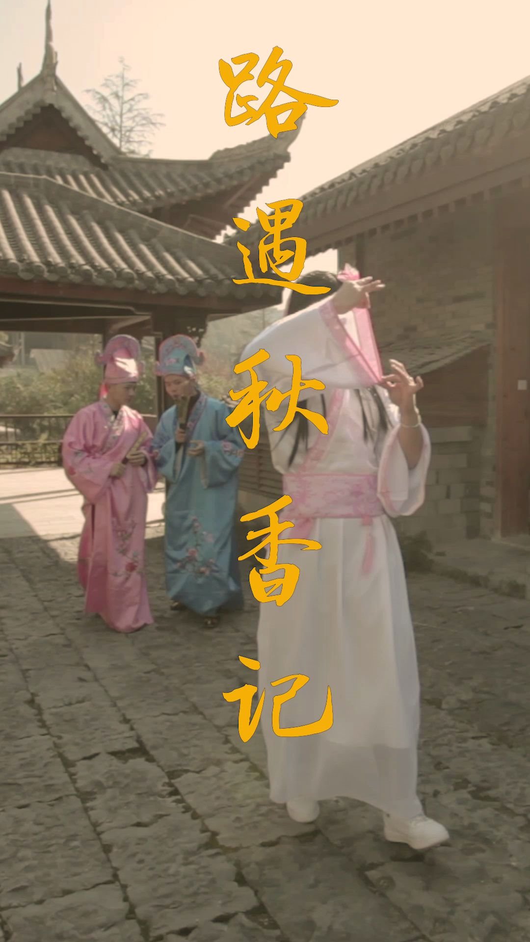 好se财子在大街上竟然如此搭讪秋香.