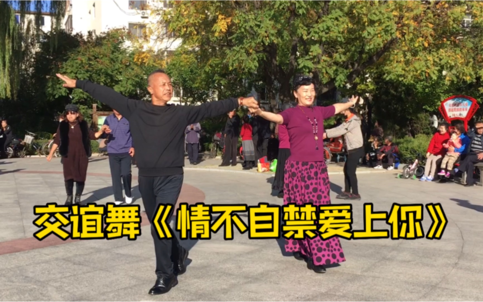 [图]广场交谊舞帕斯，人海茫茫你我相遇，情不自禁爱上你