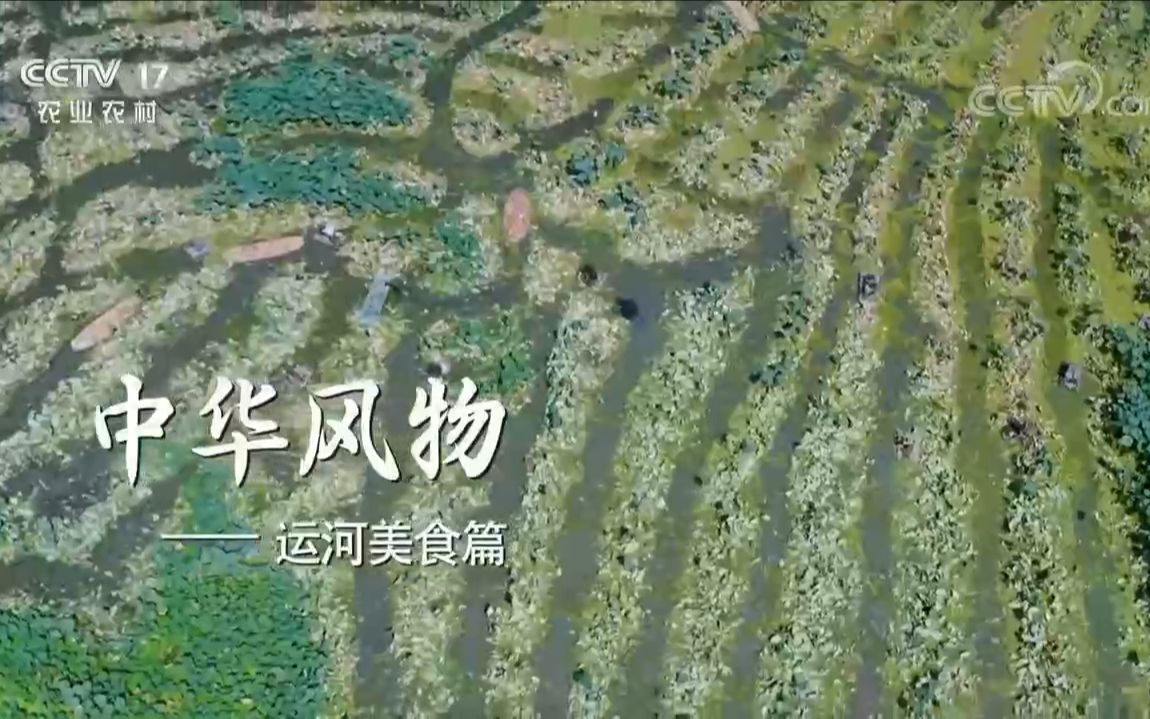 [图]【央视】农业农村频道CCTV-17《中华风物》