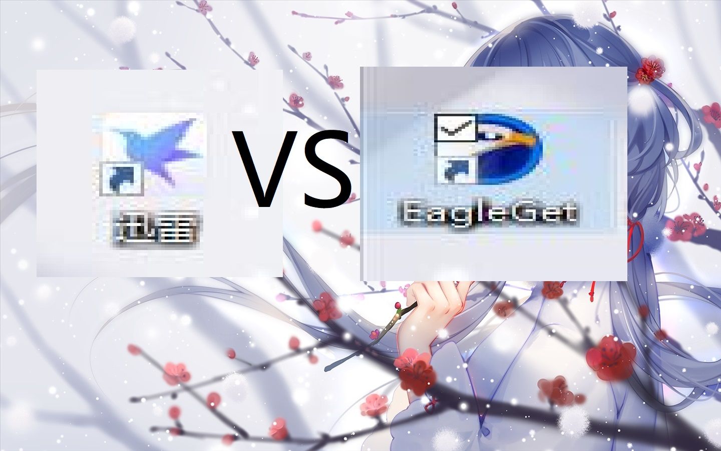 [图]【测试】迅雷下载VSEagleGet 下载速度。