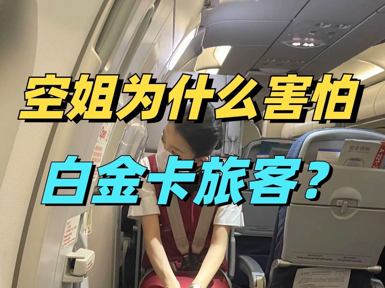 空姐为什么害怕白金卡旅客呢?哔哩哔哩bilibili