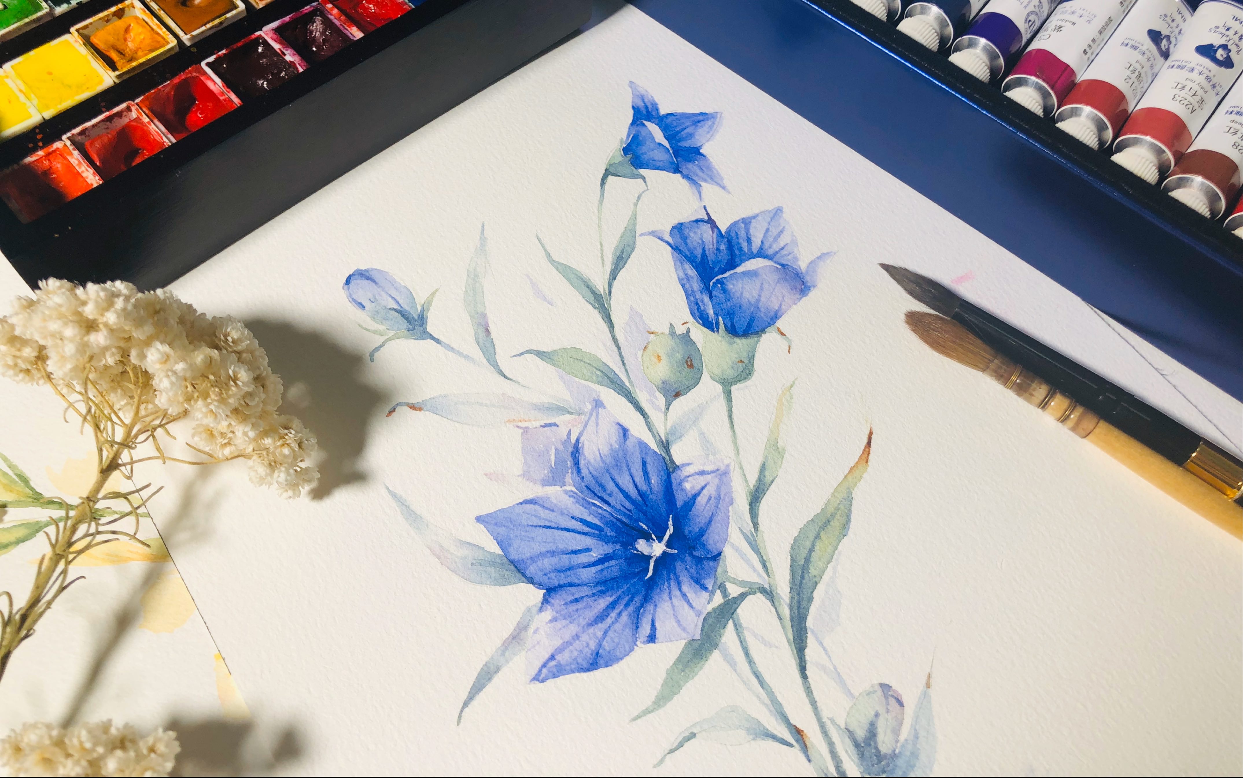 写意水彩花卉基础教程桔梗绘画过程