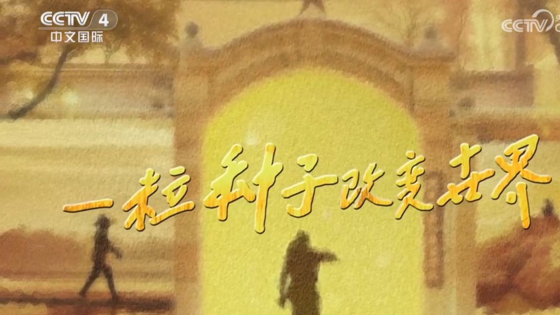 【央视】中文国际频道CCTV-4《一粒种子改变世界》