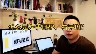 什么是左手ERP、右手BI？