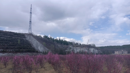 鹤岗一日游之北山公园哔哩哔哩bilibili