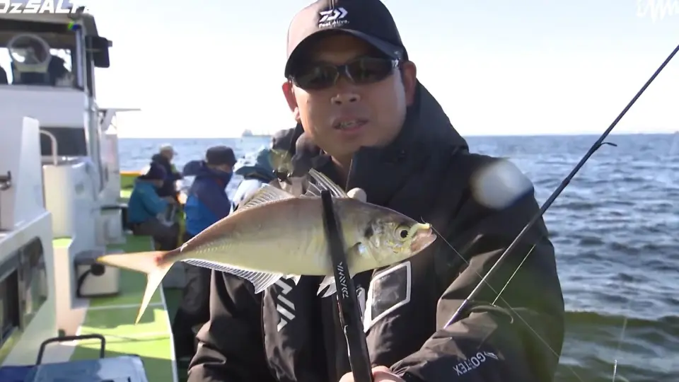 Briggsy]&[MALOSI] Bream Gear VS Mackerel!!!_哔哩哔哩_bilibili