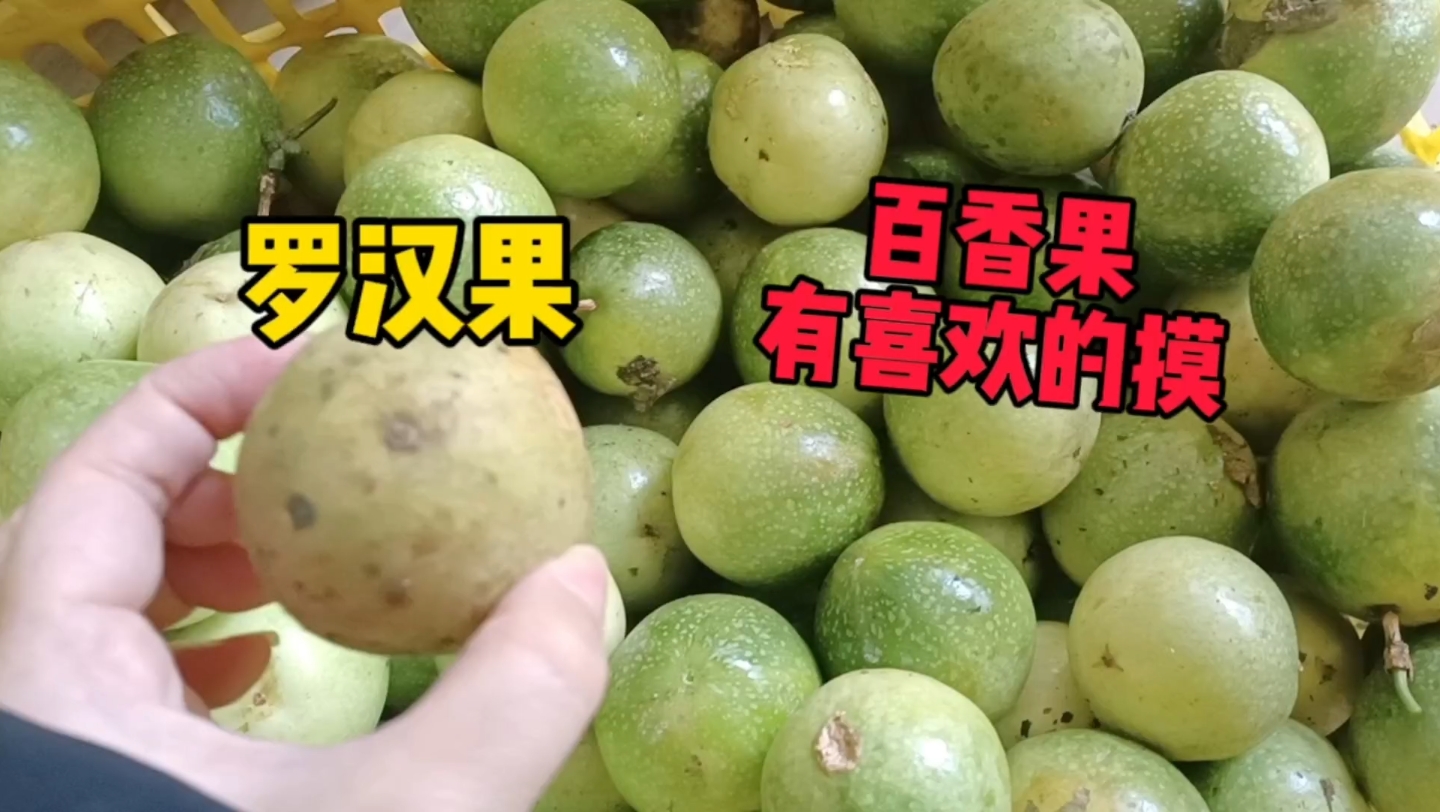 黄金百香果和罗汉果,你可分得清9494