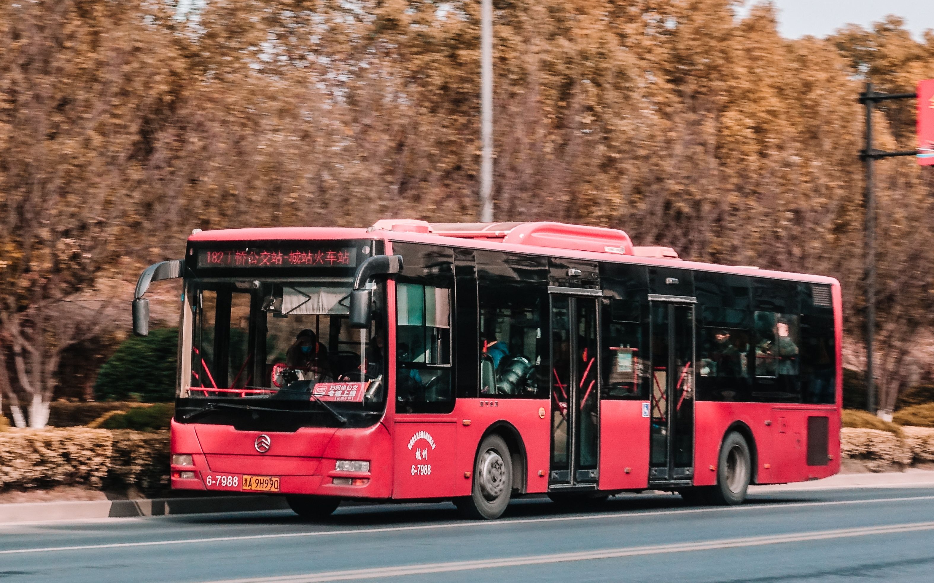 全收录杭州公交厦门金旅xml6125jhev18c红色双开门版20台全收录