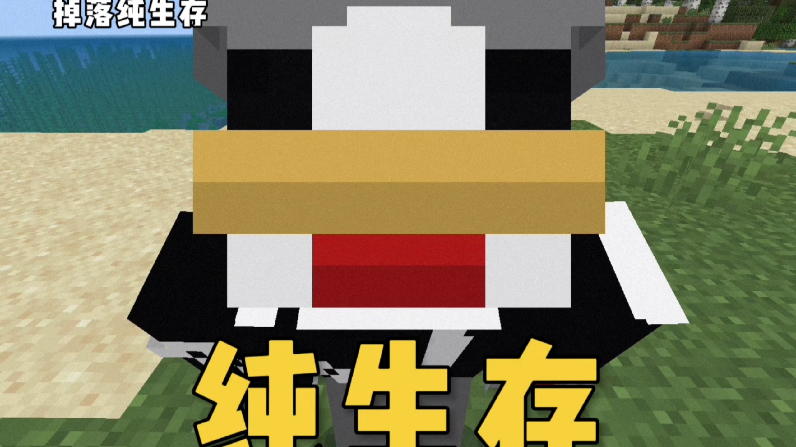 我的世界:生存服务器