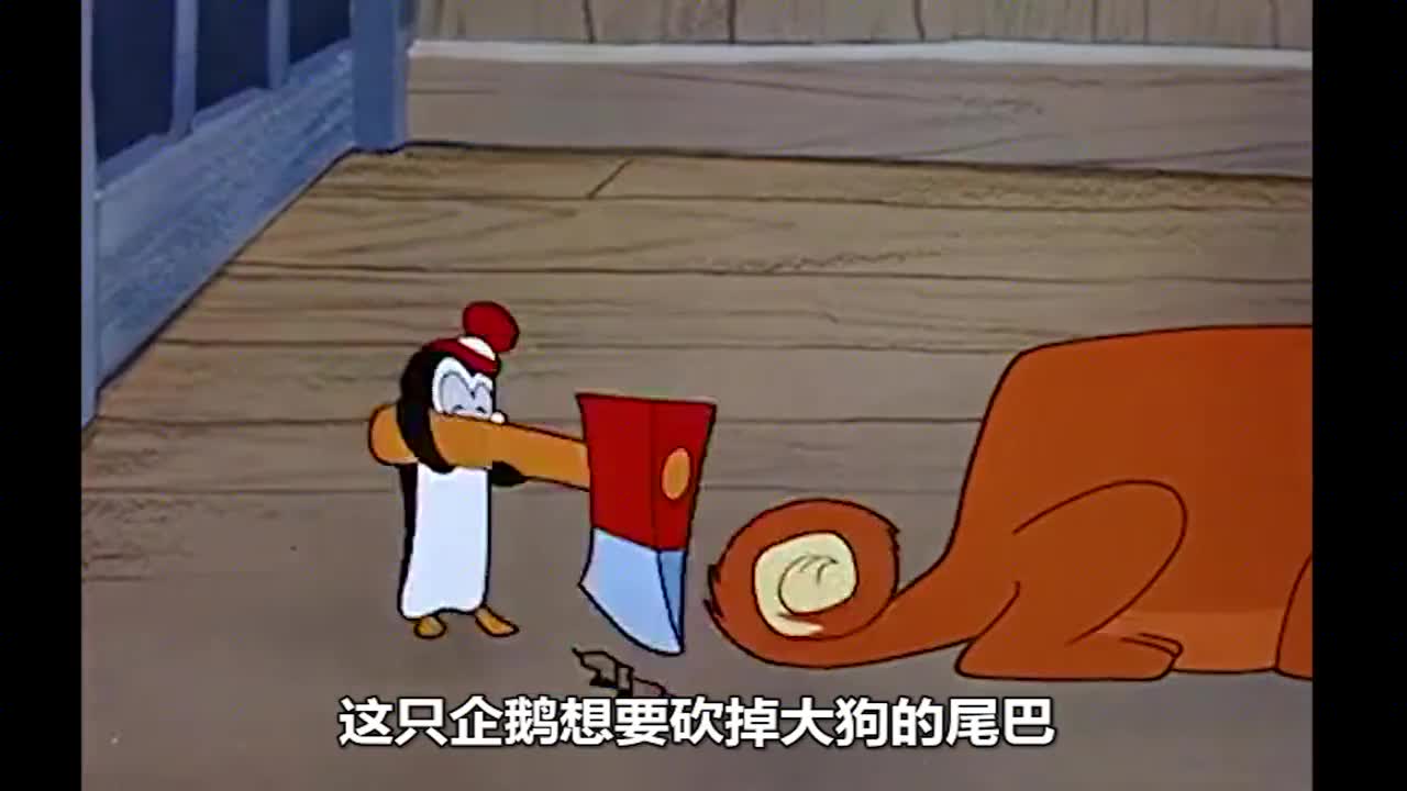 这只企鹅因为太怕冷,竟用大狗的尾巴做成毛皮大衣