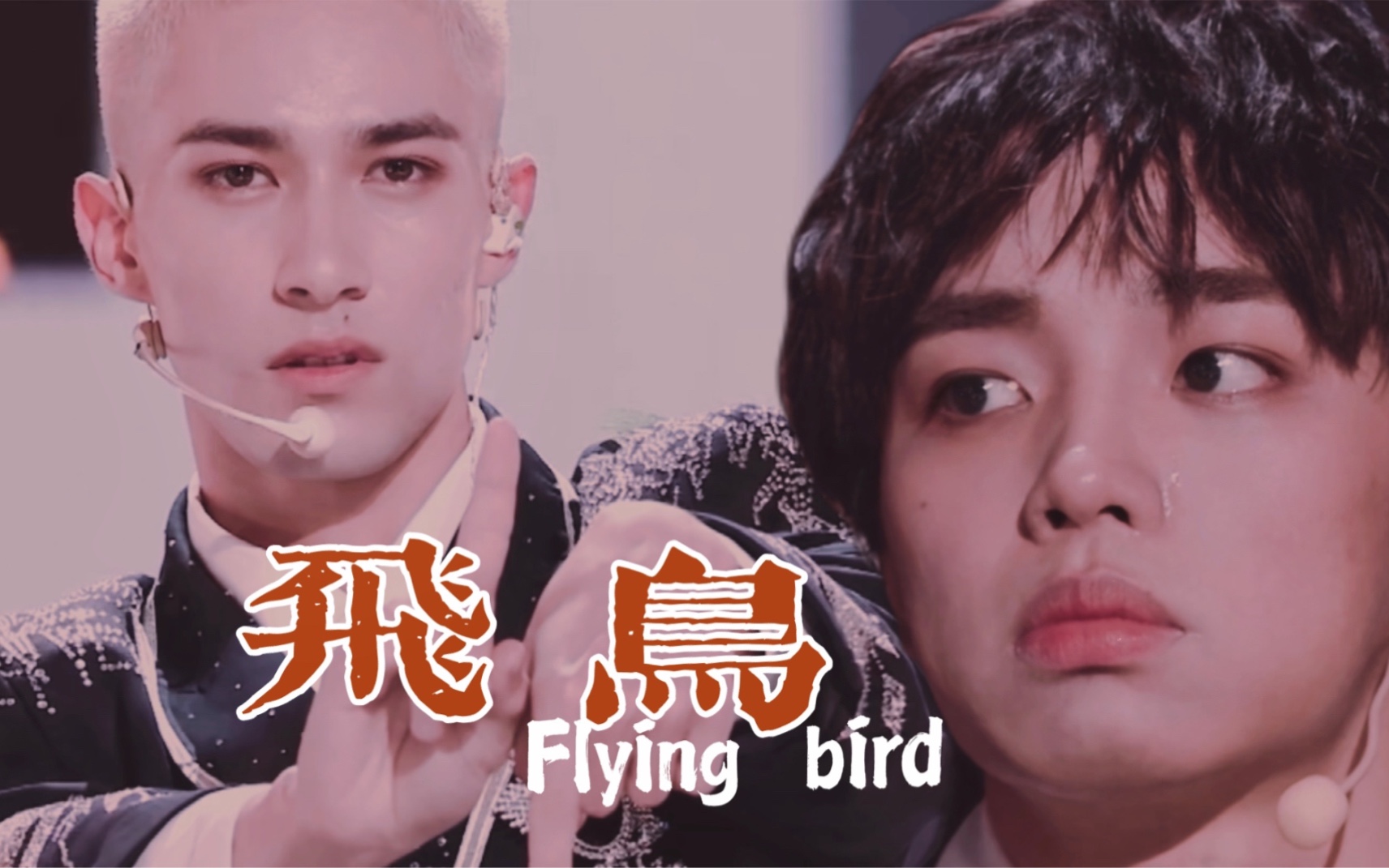 你滴涵王同人衍生飞鸟我可以是他受挫时避风的港湾但不能阻碍他振翅