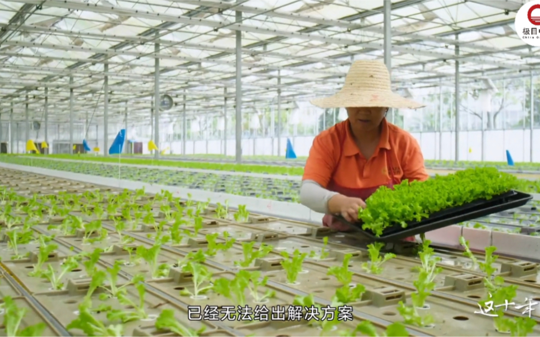 [图]《这十年·幸福中国》植物工厂助力智慧农业