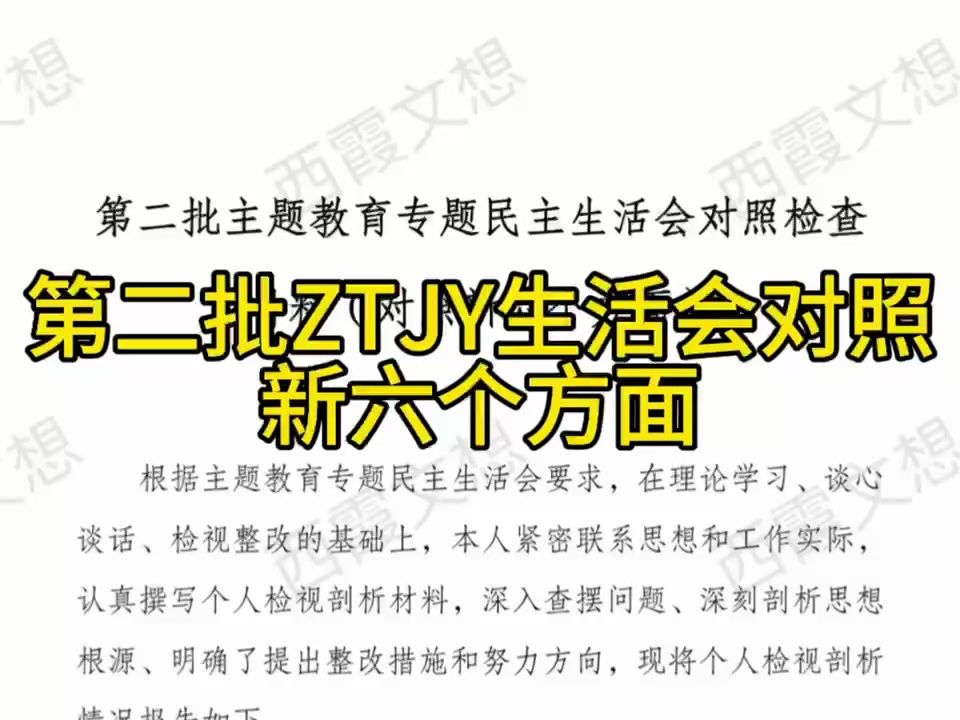 第二批主题教育专题民主生活会对照检查材料(对照新六个方面)哔哩哔哩bilibili