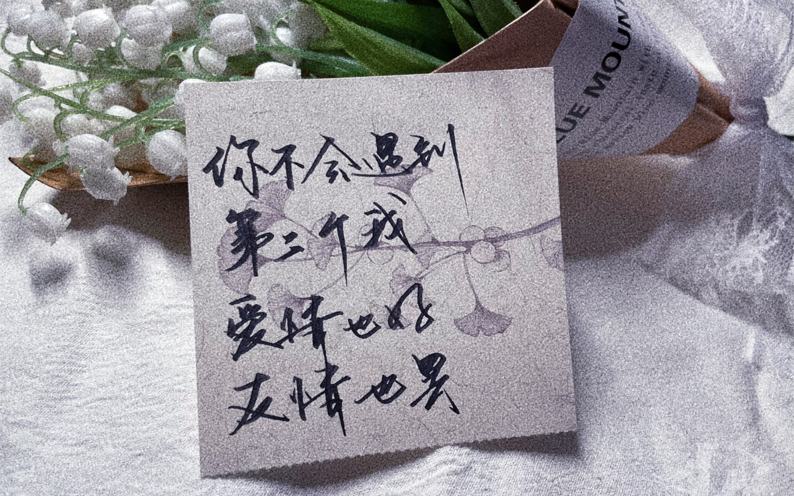【手写】"你不会遇到第二个我,友情也好,爱情也罢.