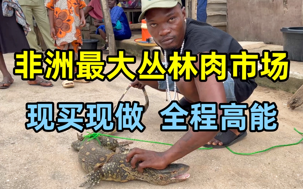 探访非洲最大丛林肉市场，尼日利亚人太猛了，这东西居然都敢吃？