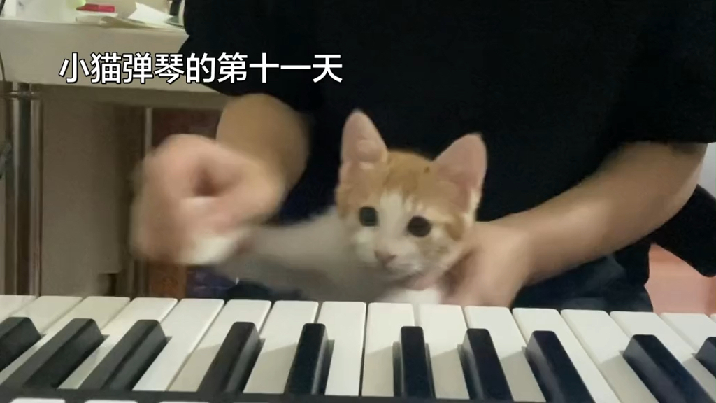 肖邦的妹妹肖茂咪 弹奏童年梦核Bgm 《Nop》