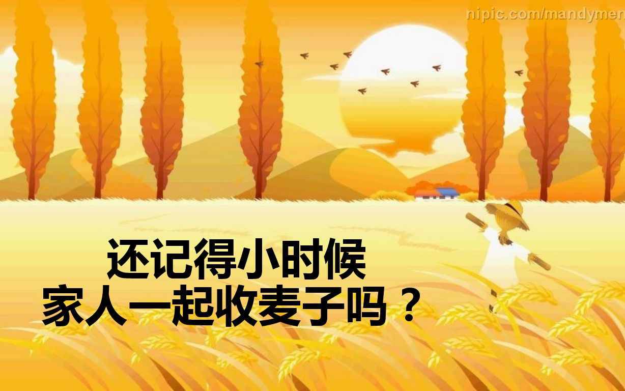 2019部编版高中语文必修上册苏辙《文氏外孙入村收麦》赏析教学视频哔哩哔哩bilibili