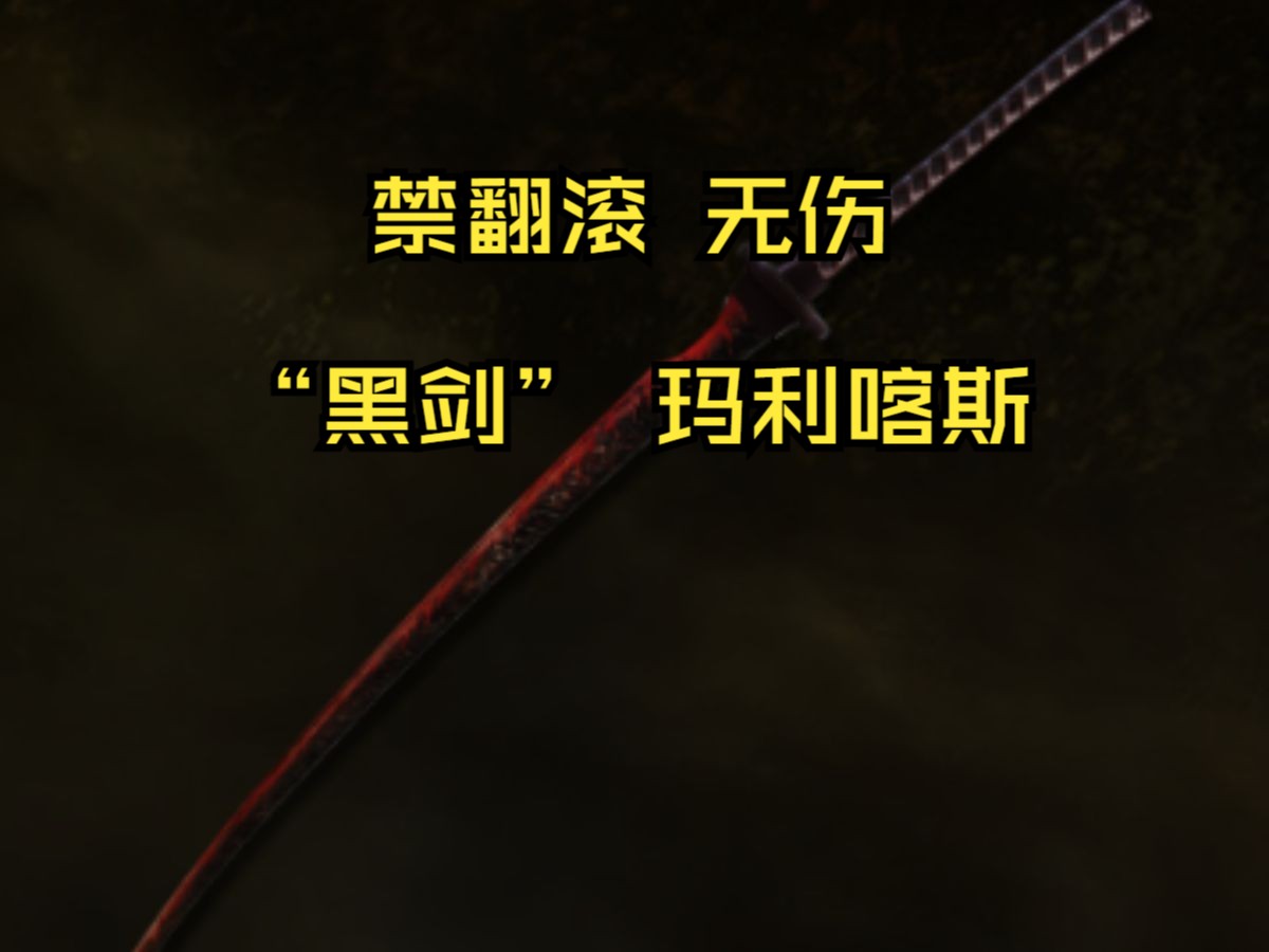 1级0强化8周目 罗刹大刀/禁翻滚 "黑剑"玛利喀斯