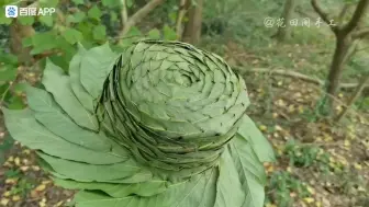 下载视频: 用叶子叠成帽子，太好看了