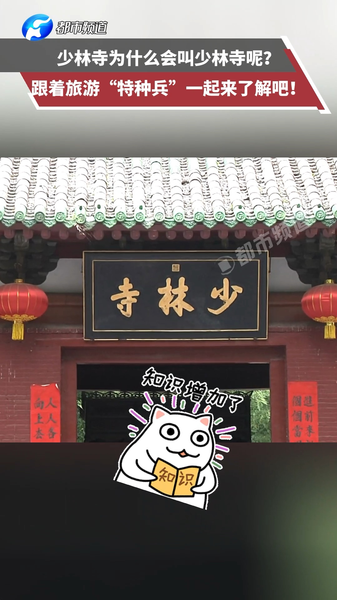 少林寺为什么会叫少林寺呢?跟着旅游“特种兵”一起来了解吧!哔哩哔哩bilibili