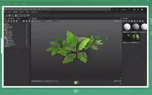 Download Video: 简单直接的制作风格化3D植物的方法