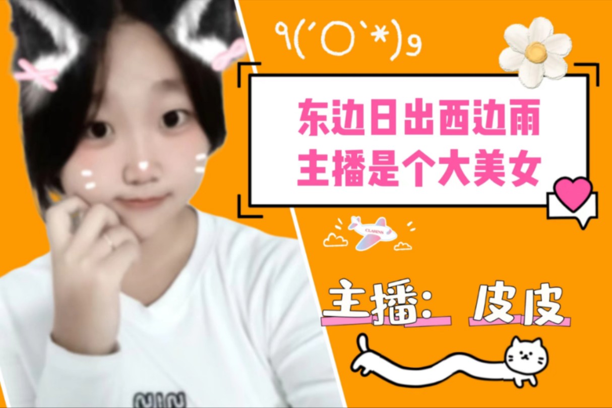 王者荣耀—皮皮