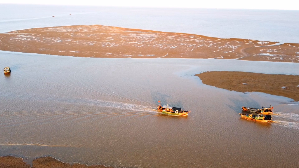 东营的海边.红光渔港.新汇东海岸.渔船红地毯.