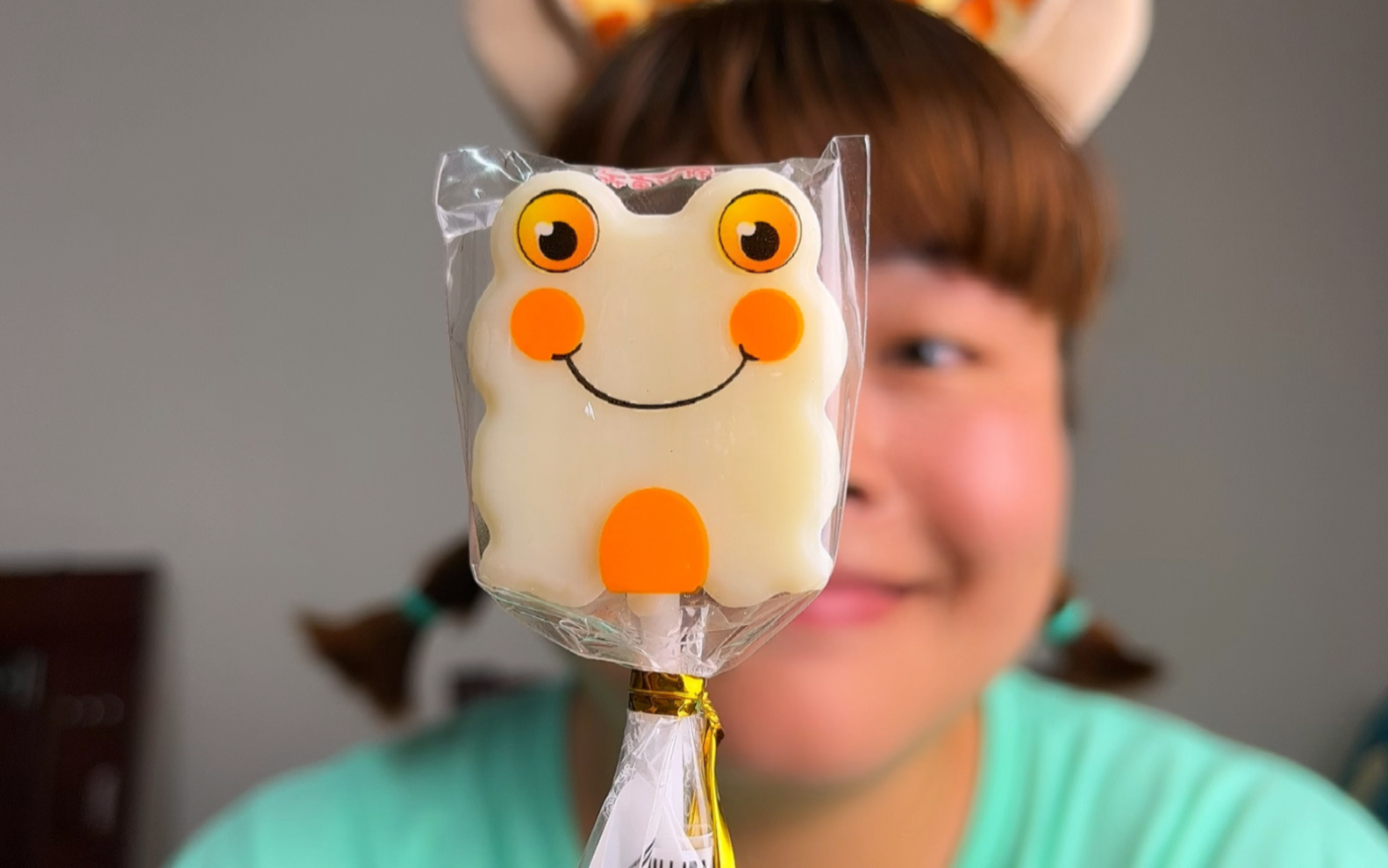 小动物卡通棒棒糖