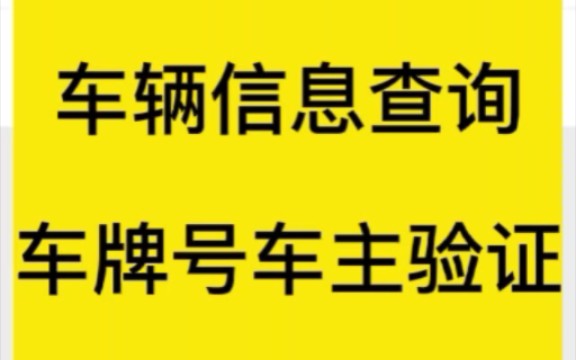 车辆信息查询二:车牌号的车主的验证查询哔哩哔哩bilibili