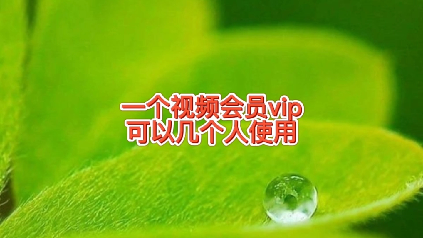 一个视频会员vip可以几个人用呢?爱奇艺,优酷,腾讯视频哪个好哔哩哔哩bilibili