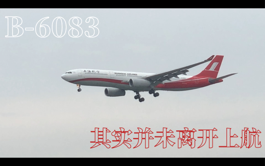 【上海-sha拍机】上海航空独苗a330-b-6083并未回归东航