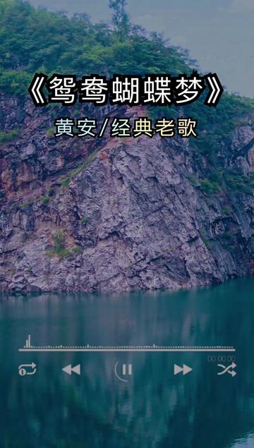 新鸳鸯蝴蝶梦 #老歌回顾 #经典老歌 #音乐分享