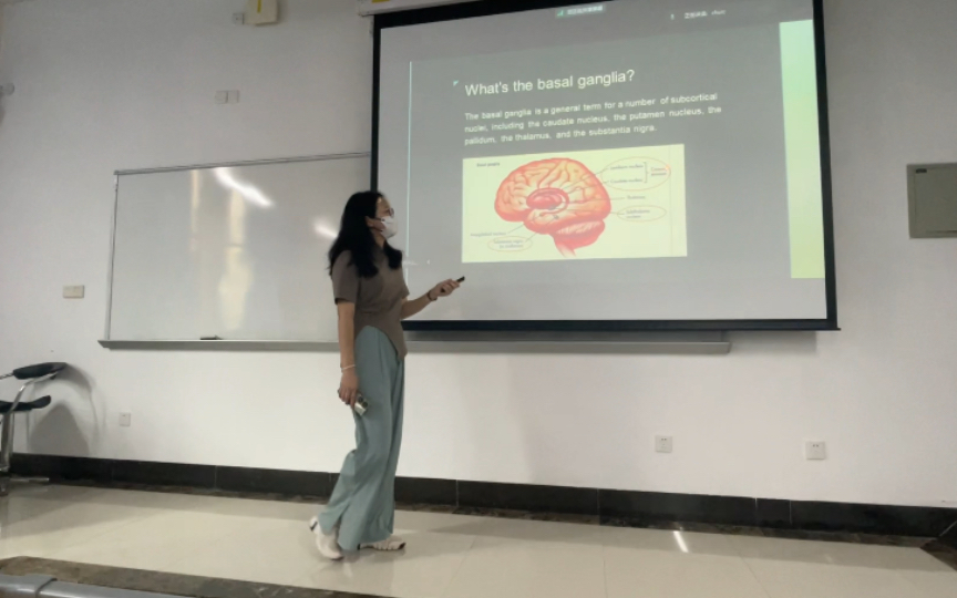 basal ganglia and pathways 暨南大学本科生全英语授课22PHA 蔺语欣 2023522哔哩哔哩bilibili