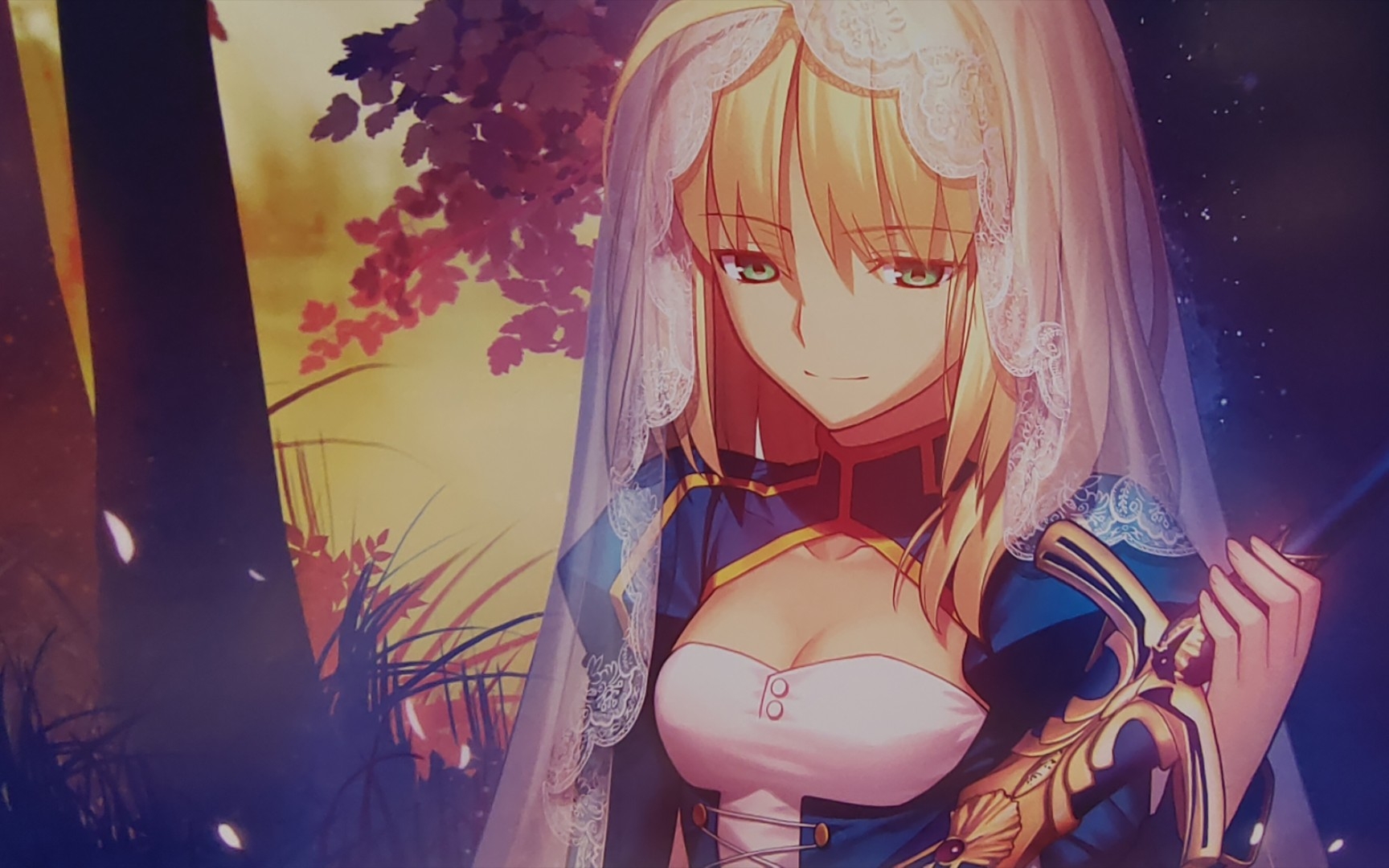 画师"武内崇":gal游戏《fate》系列插画(第1期)_哔哩哔哩bilibili