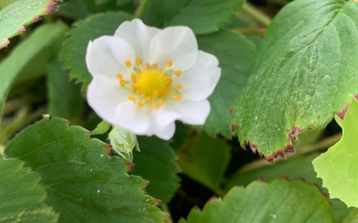 云子游记日常_哔哩哔哩_bilibili