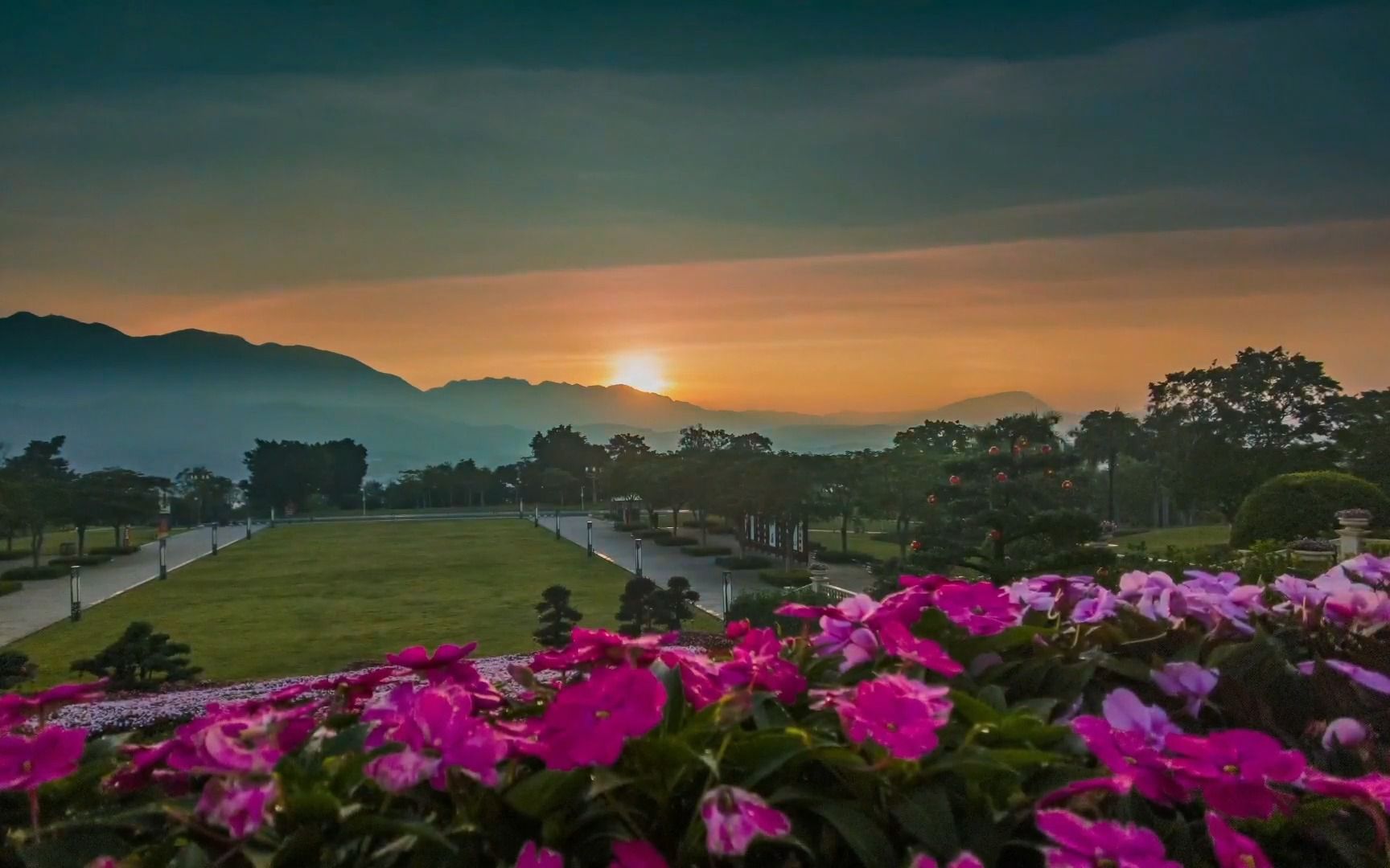 【干货】两种运动相机拍摄延时的方法 | 花海中的日出