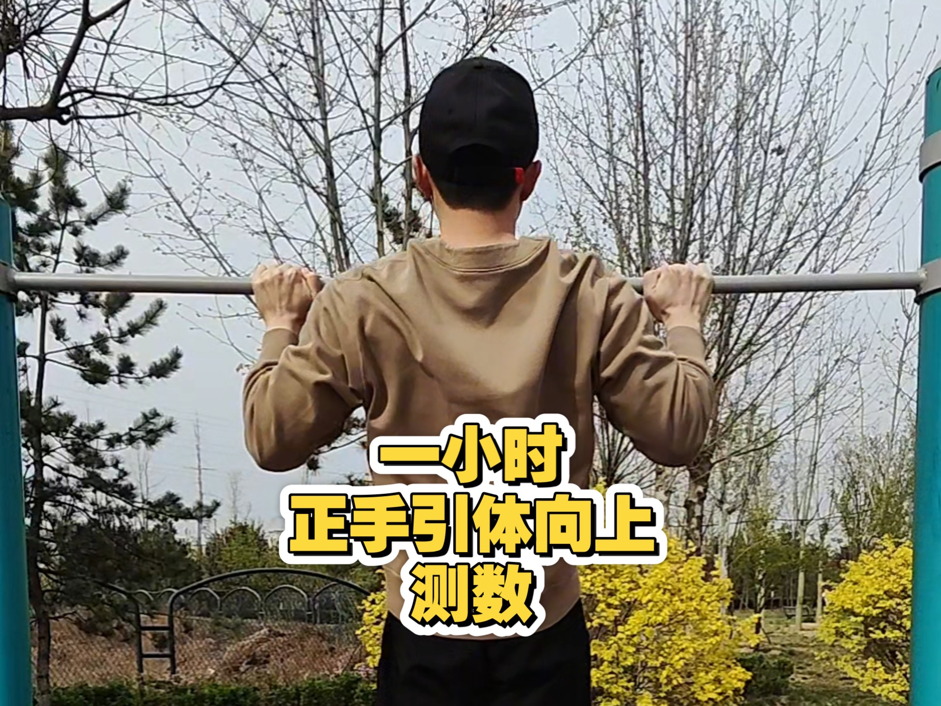 一小时正手引体向上测数