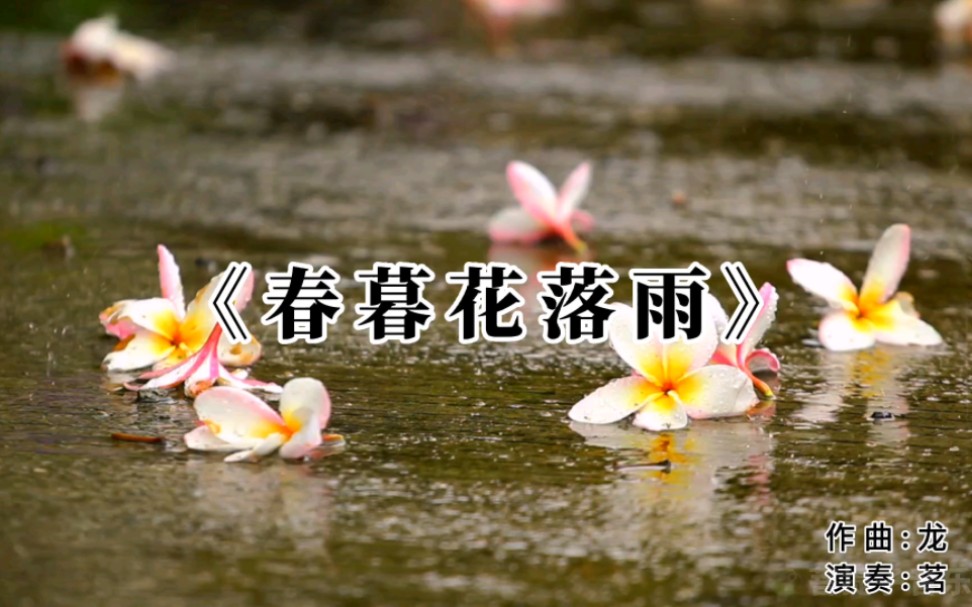 [图]古筝版《春暮花落雨》，意境太美，反反复复总也听不腻