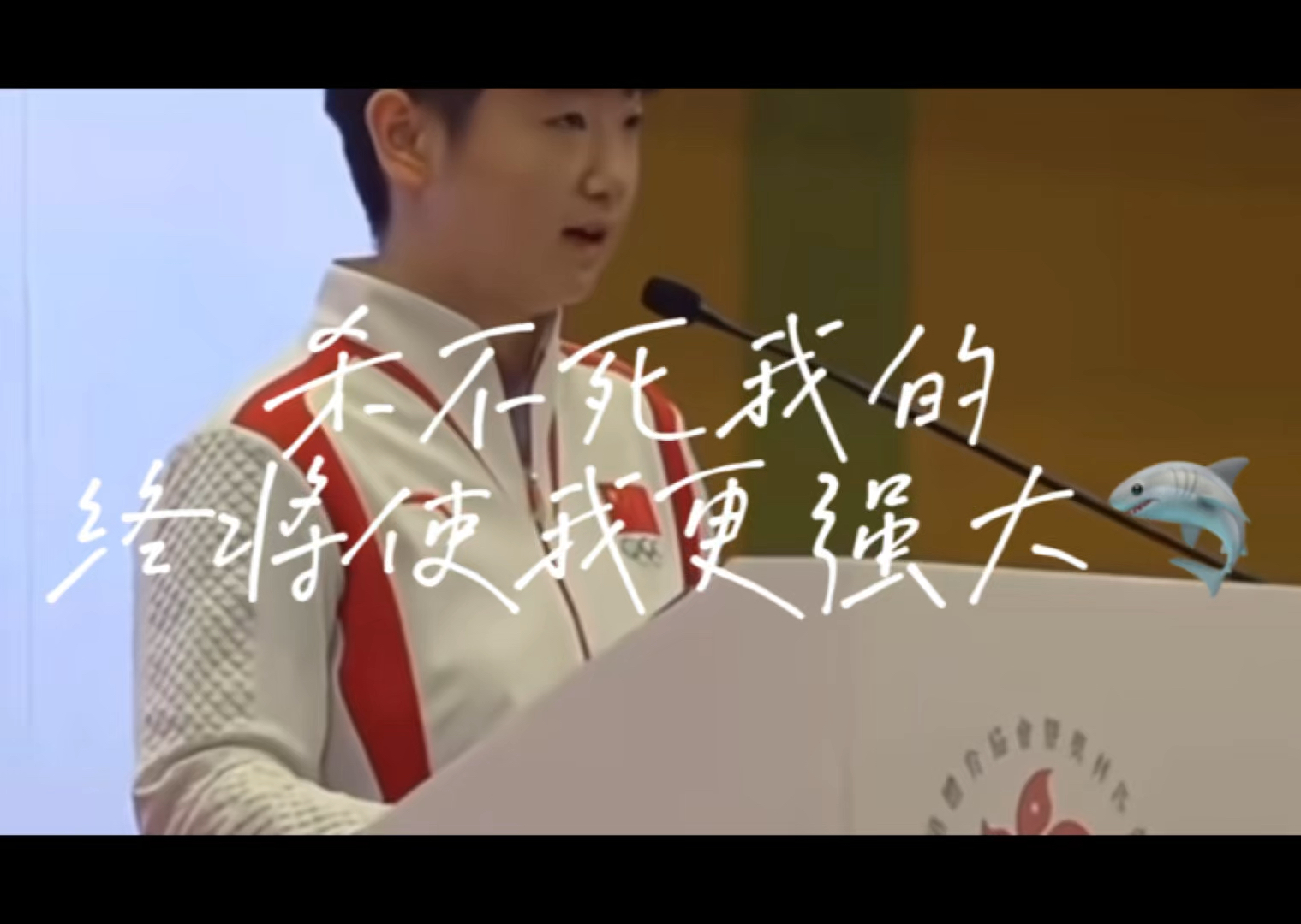 "杀不死我的,终将使我更强大"希望莎莎这一段话可以给你力量.