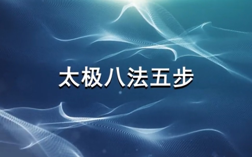 八法五步邱慧芳现场教学太极基本功精简剪辑版哔哩哔哩bilibili