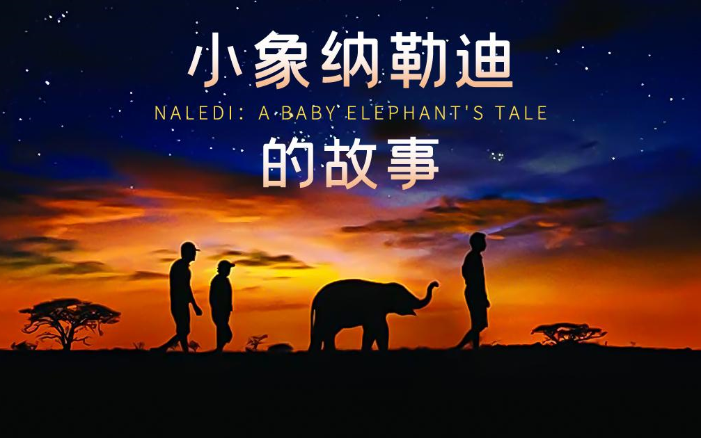 【美国】【纪录片】小象纳勒迪的故事 The story of Naradi the little elephant哔哩哔哩bilibili