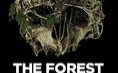 《The Forest》不会再爱的第二期哔哩哔哩bilibili