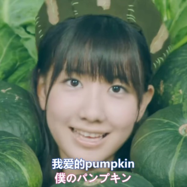 AKB48 Oh my pumpkin! 　生写真350枚 コンプ　バリ売り可 AKB48『Oh my pumpkin! [Special Edition]』のアルバムページ