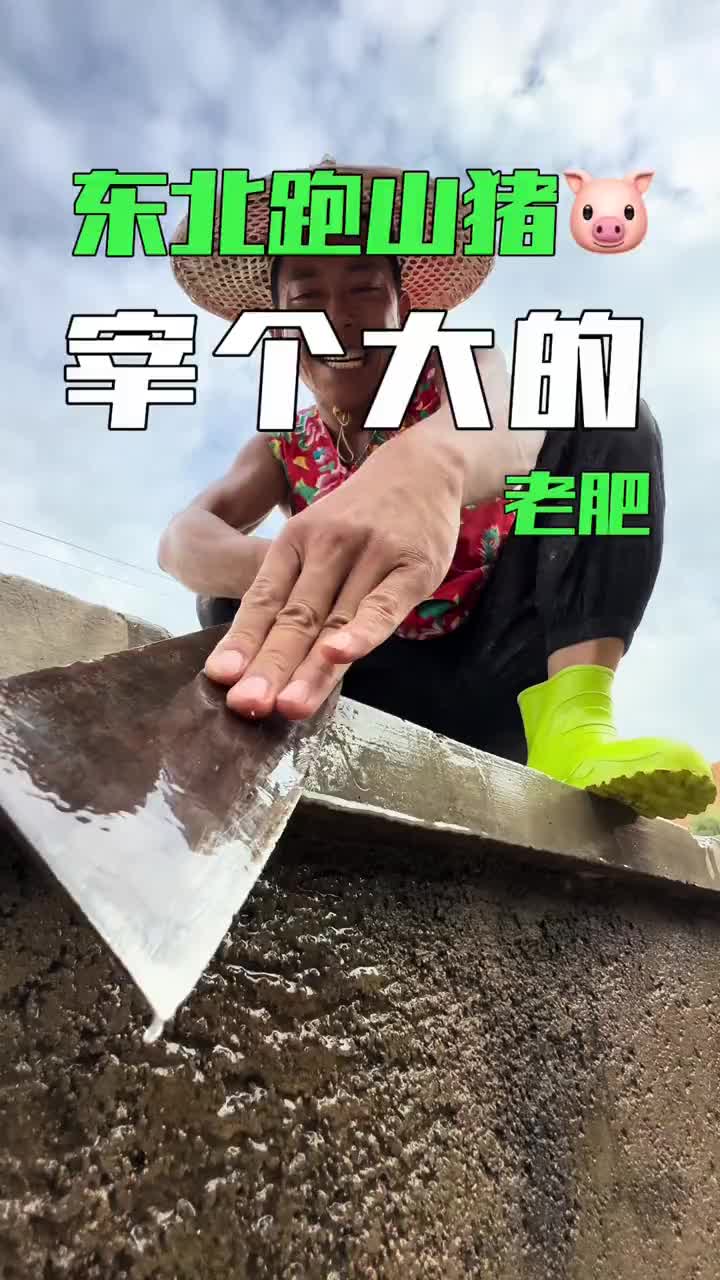 秋天里的幸福生活哔哩哔哩bilibili