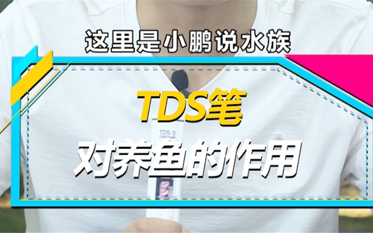 水族好物,TDS笔,对养鱼有啥用?哔哩哔哩bilibili