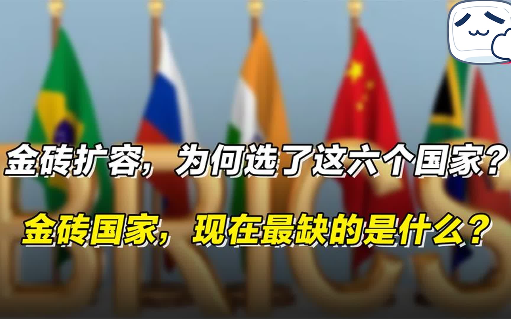 金砖扩容,为何选了这六个国家?金砖国家,现在最缺的是什么?哔哩哔哩bilibili