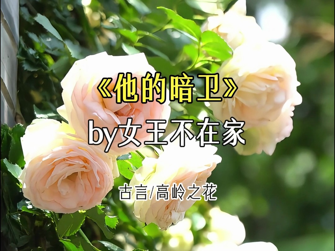 【推文】宫廷侯爵文了解一下!哔哩哔哩bilibili